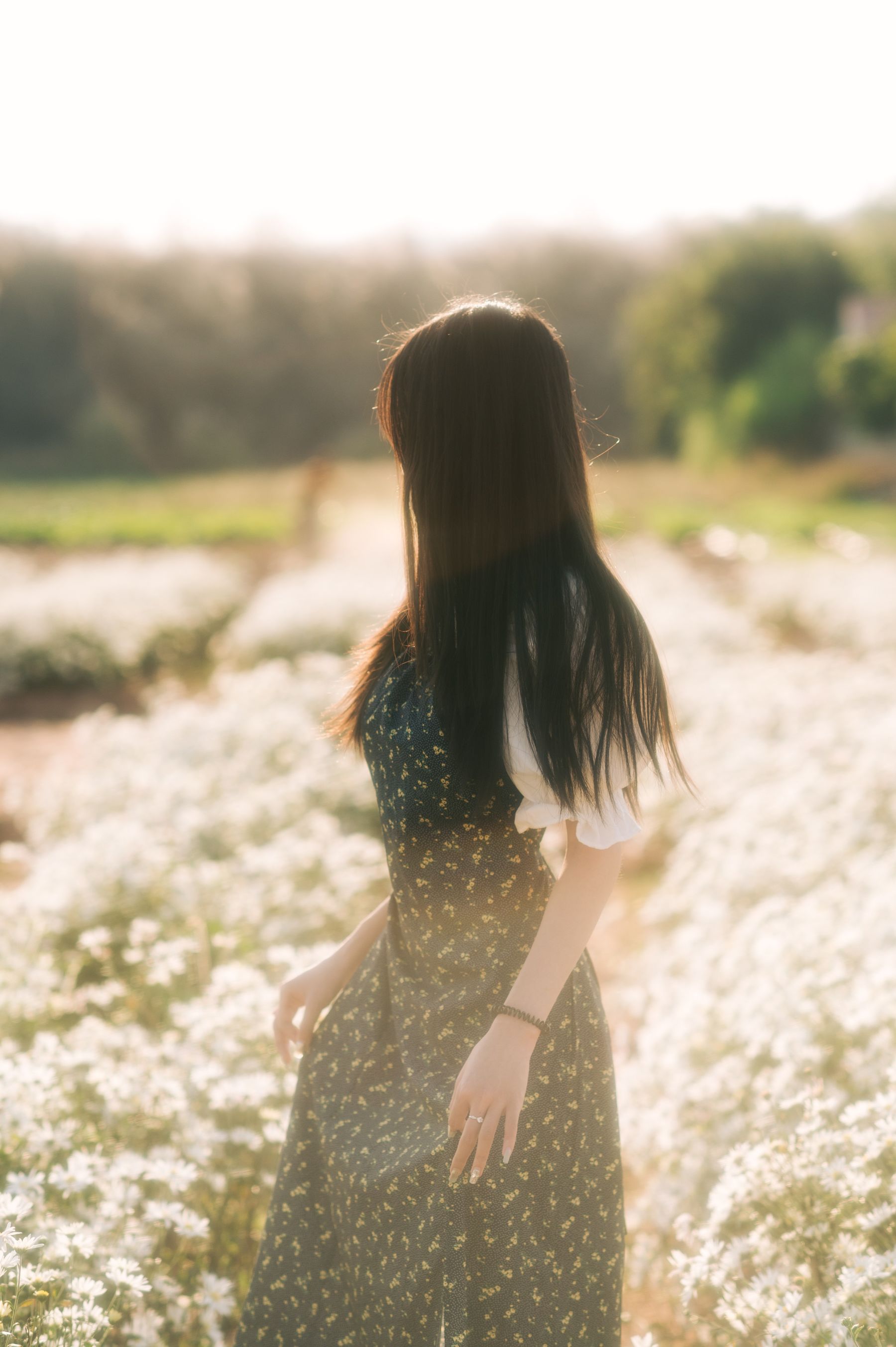 秋日菊香四溢心脾,美人相伴时光绮 相关图册