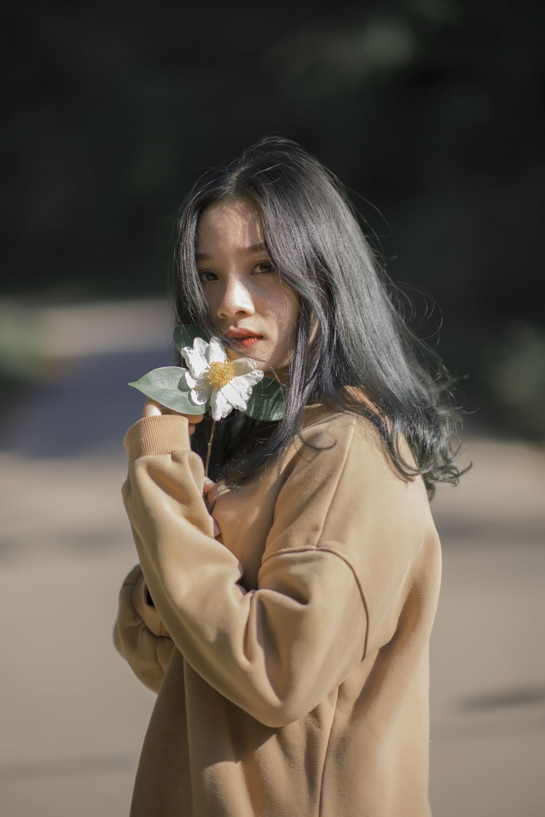 少女与花,是自然界中最美的风景 相关图册