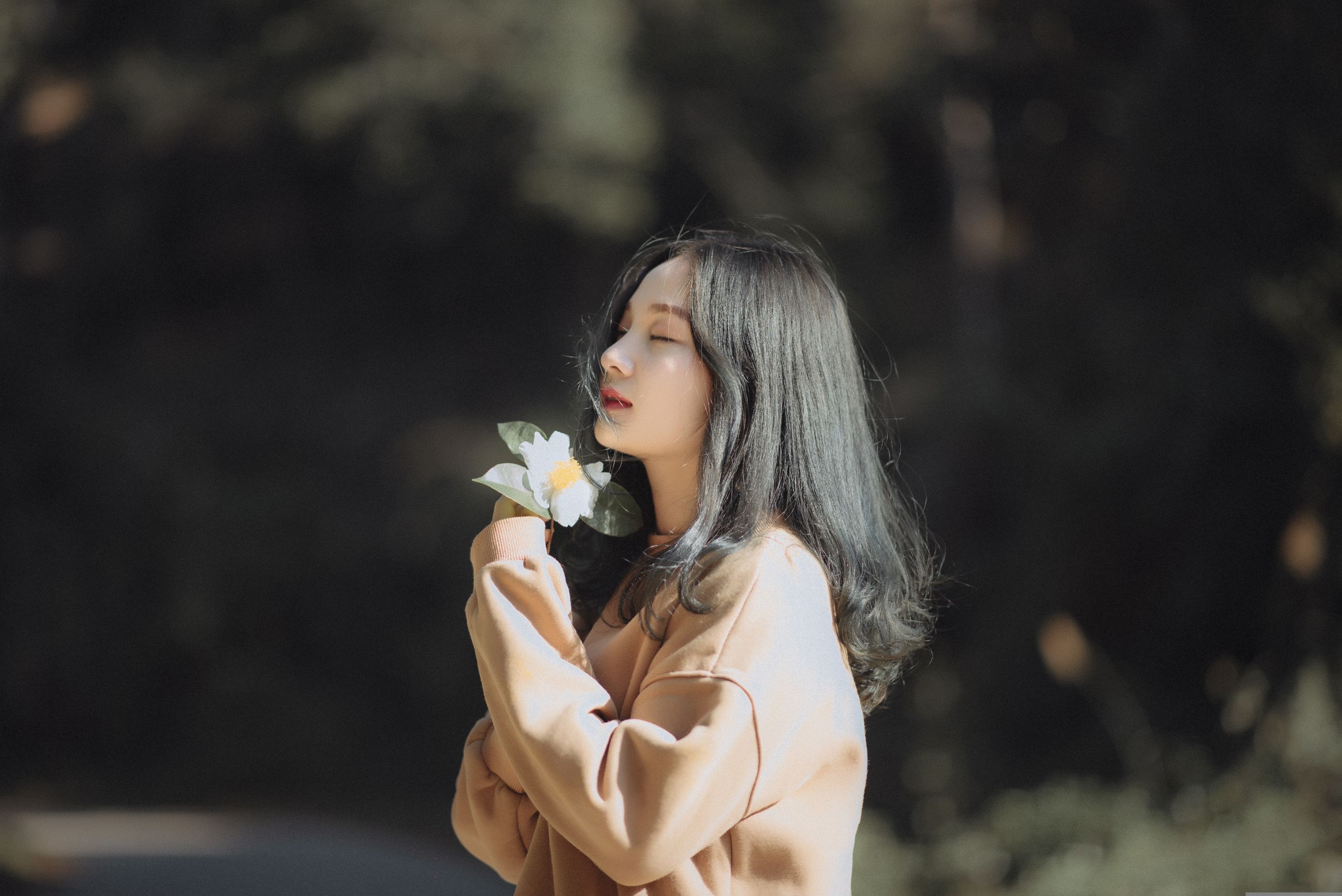 少女与花,是自然界中最美的风景 相关图册