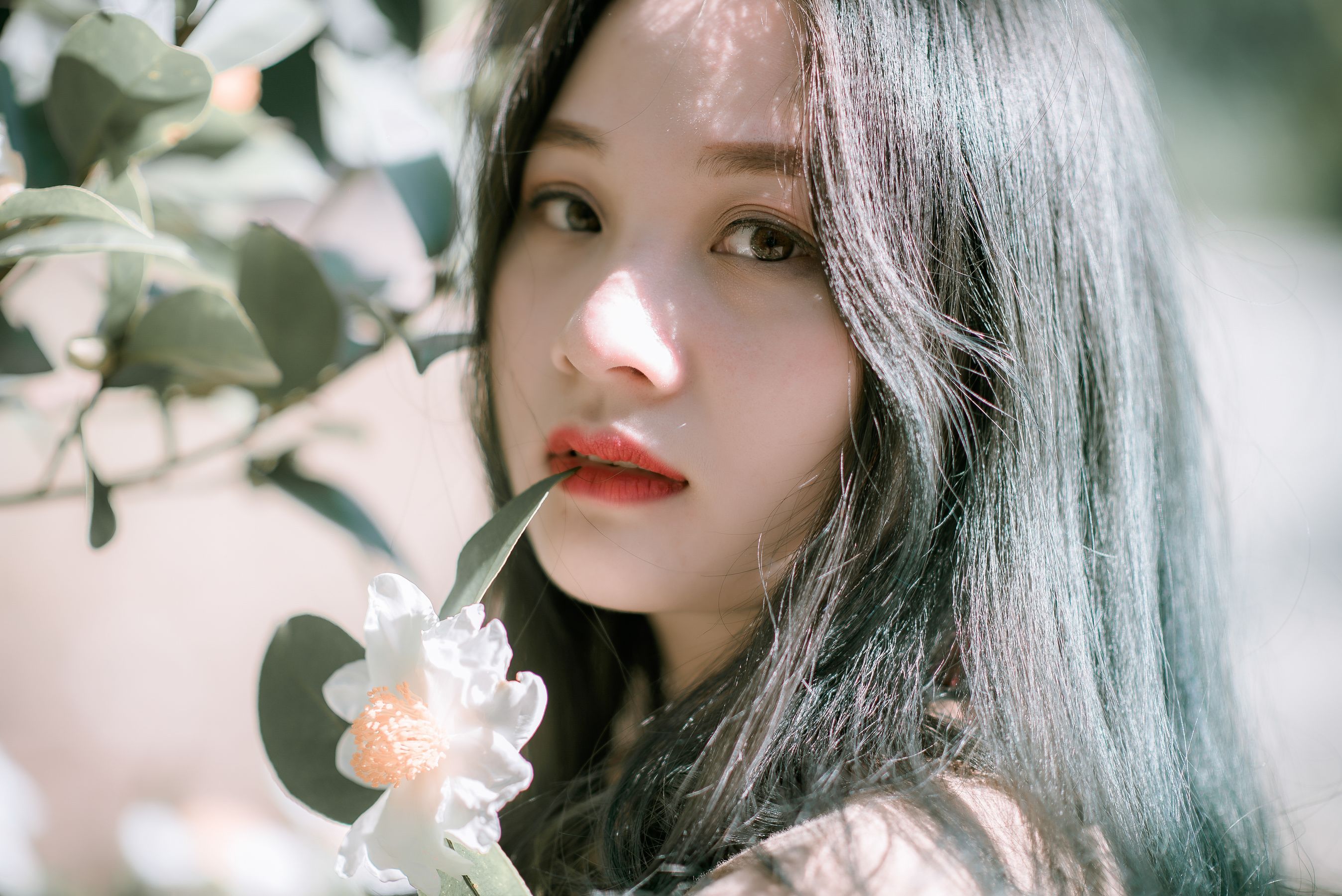 少女与花,是自然界中最美的风景 相关图册