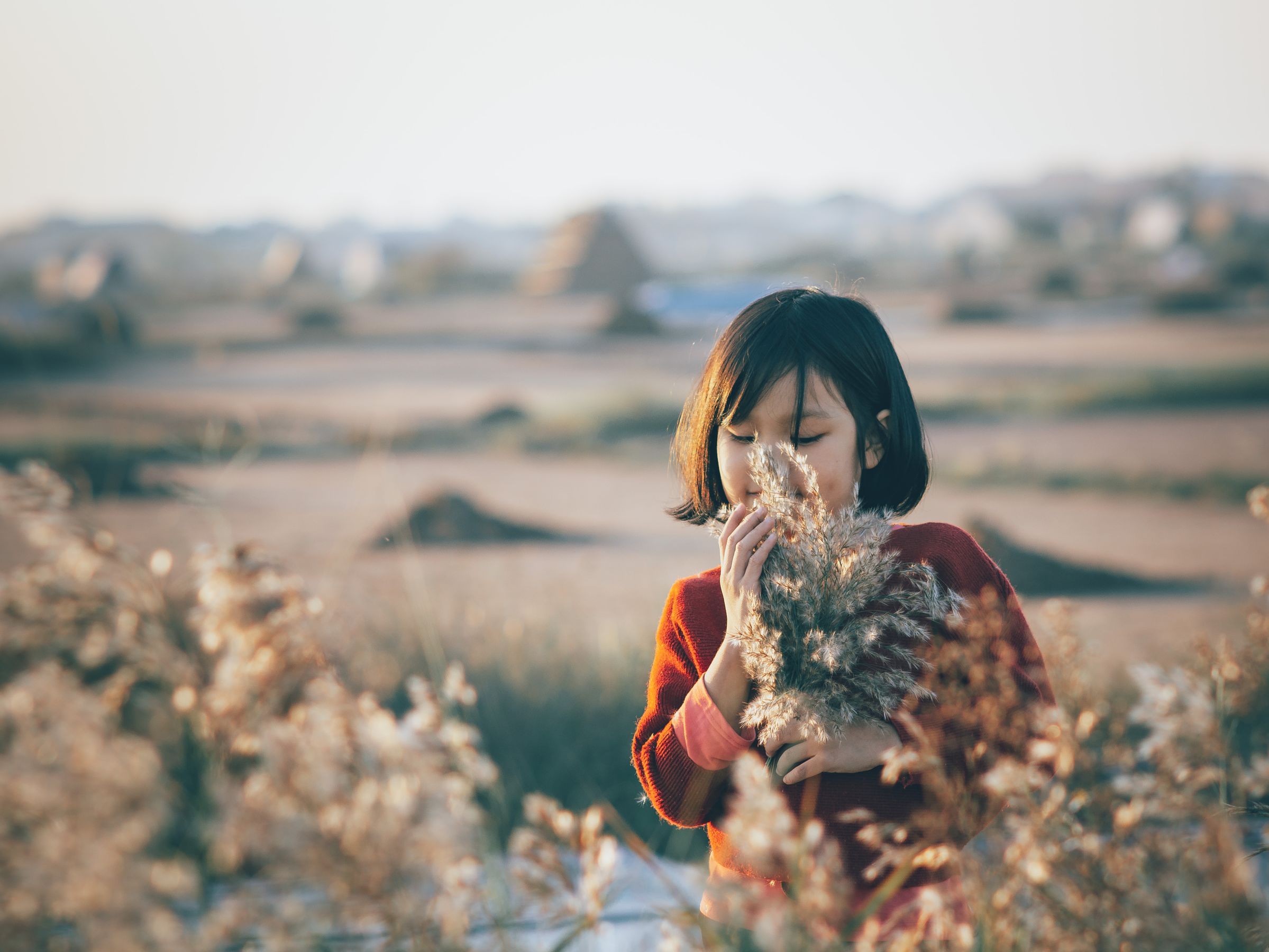 小宝贝与芦苇共舞,夕阳定格温馨瞬间 相关图册